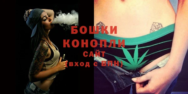 СК Зерноград