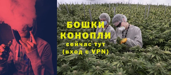 СК Зерноград
