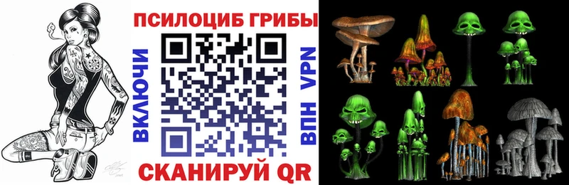 Купить закладки Плавск Псилоцибиновые грибы мицелий
